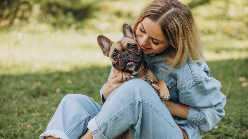 Il Paradiso a Quattro Zampe: Scopri la Pensione Diurna per Cani a Taranto